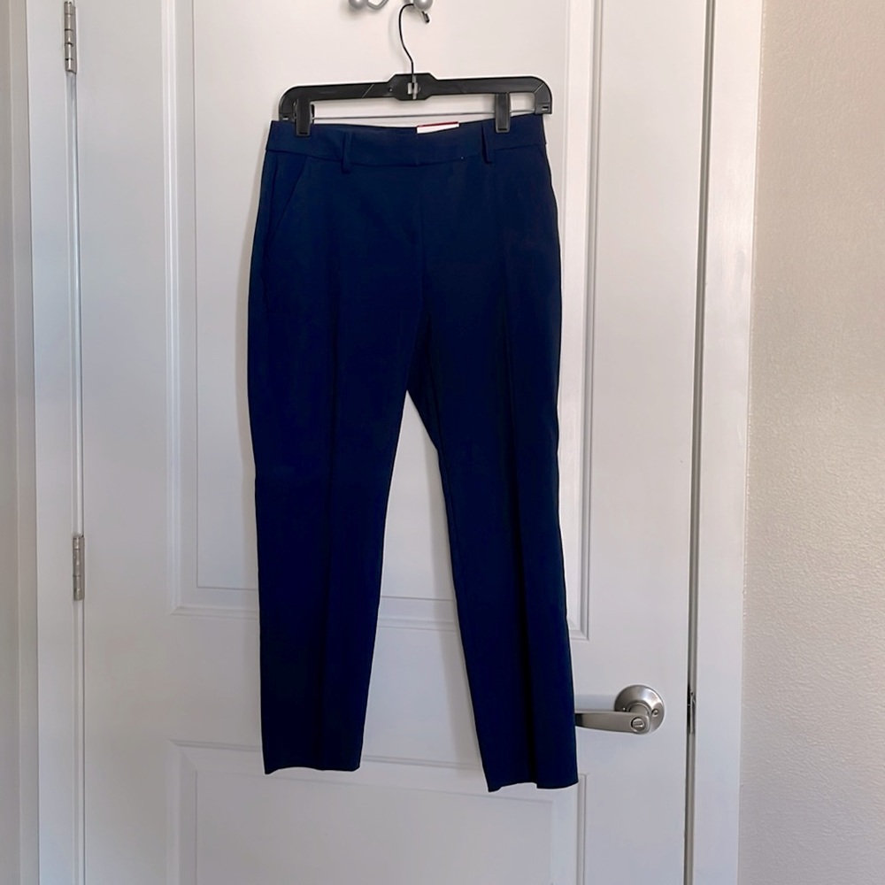 Express Columnist Dress Pants